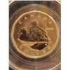Image 2 : 2008 1 dollar $1.00 one loonie 'Common Elder' CCCS SP-66