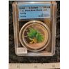 Image 1 : 2002 $5.00 five dollars 1 oz .9999 fine silver maple leaf, Spring CCCS MS-66