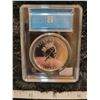 Image 3 : 2001 5 dollars 1 oz .9999 fine silver 'Maple Leaf Autumn' CCCS MS-66