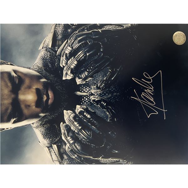 Black Panther Stan Lee signed photo. GFA authenticated