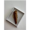 Image 1 : Genuine Spinosaurus tooth