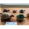 Image 3 : Turtle Collection