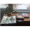 Image 1 : Bonsai Tree Decoration and Assorted East Asian Memorabilia