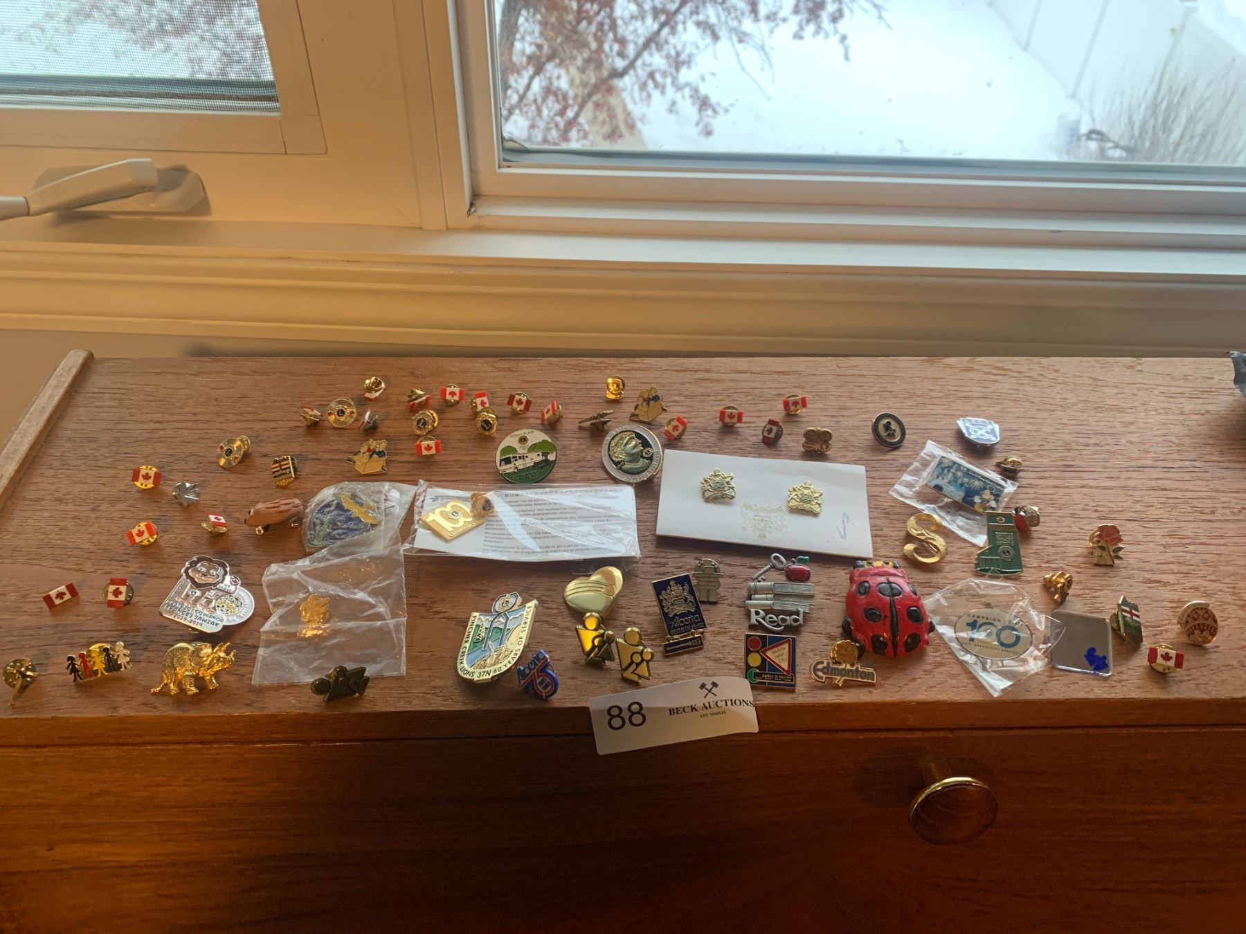 Pin Collection Assorment Assortment of Pins - Beck Auctions Inc.