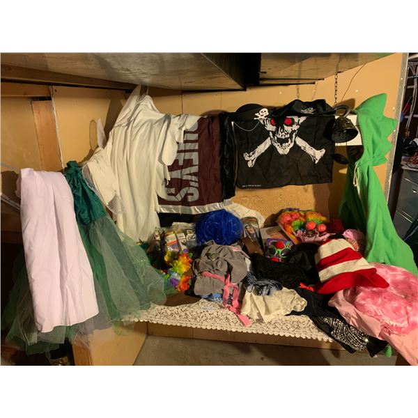 Collection of Halloween Costumes