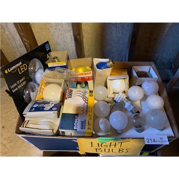 Assortment of Light Bulbs