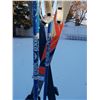 Image 2 : Landsem Skis w/ Excel Nova Poles