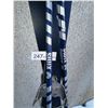 Image 3 : Titon Skis w/ Swix Poles
