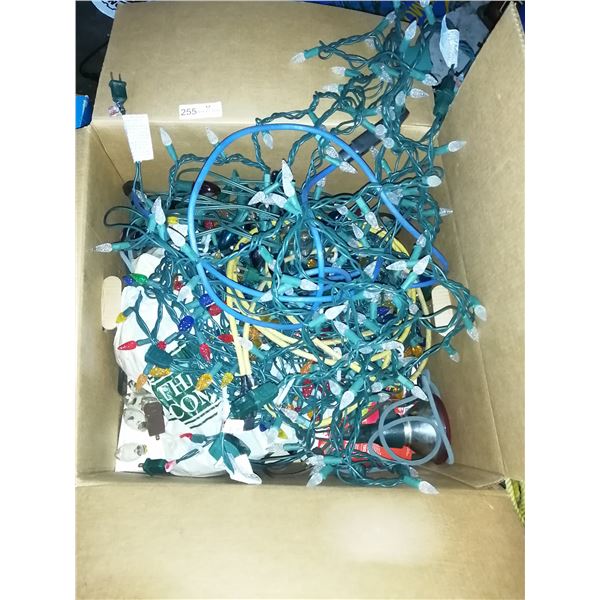 Box of Christmas Lights