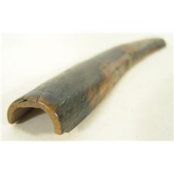 Fossilized Ivory Walrus Tusk