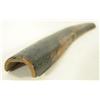 Image 1 : Fossilized Ivory Walrus Tusk