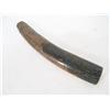 Image 3 : Fossilized Ivory Walrus Tusk