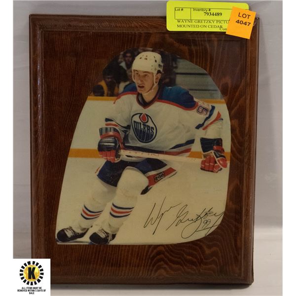 WAYNE GRETZKY PICTURE MOUNTED ON CEDAR