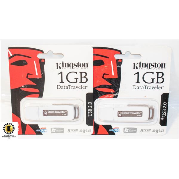 2 NEW KINGSTON TECHNOLOGY 1 GB