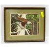 Image 1 : FRAMED AMERICAN EAGLE PRINT