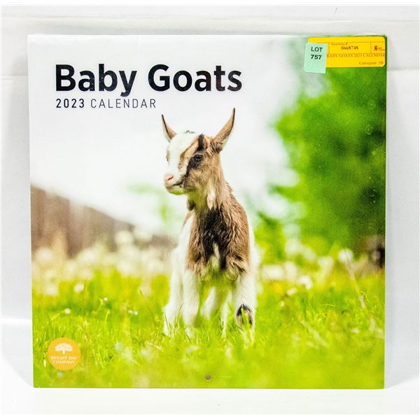 NEW BABY GOATS 2023 CALENDAR