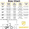 Image 2 : NEW PETIMINI 14" KIDS BIKE RETRO VINTAGE STYLE