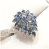 Image 1 : S160-82 SILVER SAPPHIRE(3CT) RING