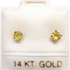 Image 1 : S160-95 14K YELLOW SAPPHIRE EARRINGS