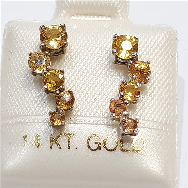 S160-96 14K SAPPHIRE EARRINGS