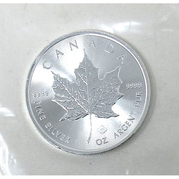 1 Oz .9999 Silver 2020 Canada Maple Leaf Coin