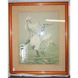 R.T PETERSON SIGNED & FRAMED  28" X 34" BIRD PRINT