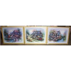 3 Framed Prints by Andre Copinas