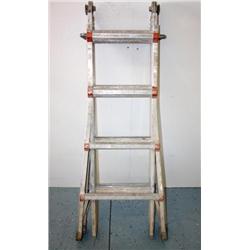 Little Giant Ladder