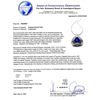 Image 4 : 12.82 ctw Tanzanite and 2.31 ctw Diamond 14K White Gold Pendant/Enhancer with Ch