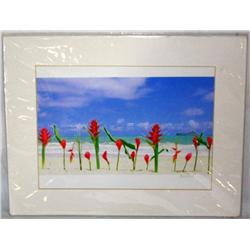Signed Framed Print of Ocean View