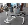 Image 2 : Olympic Weight Set & Bench