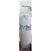 Image 1 : Everlast Punching Bag