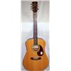 Image 2 : Regent Alvarez Acoustic Guitar & Hard Case