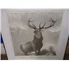 Image 3 : Hartford Fire Insurance Co. Monarch of the Glen Stag Picture in Frame (32"x33")