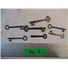 Image 1 : (7) Vintage Skelaton Keys