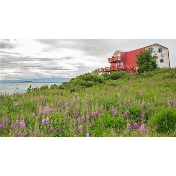 Talarik Creek Alaskan Fishing