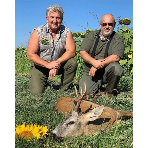 Serbia Roe Deer for 2 hunters