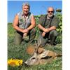 Image 1 : Serbia Roe Deer for 2 hunters