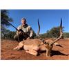 Image 2 : Bluewildebeest, Impala, Blesbuck for 2 hunters Dekos Safari
