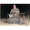Image 2 : Texas Nighttime Pig Hunt