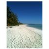 Image 4 : Get Away, Bahama Vacation for 8 people, 7 Relaxing Days, Bone Ami Beachfront Retreat in Abaco, Baham
