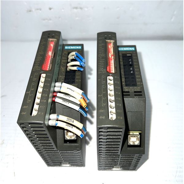 Lot of (2) Siemens #6EP1 931-2EC42 DC-USV Modul 15