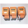 Image 1 : (3) IFM #DD2003 & #DD205 Frequency Speed Monitors
