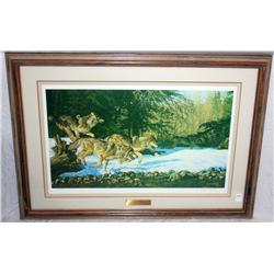 Framed Signed & Numbered Print of Wolves