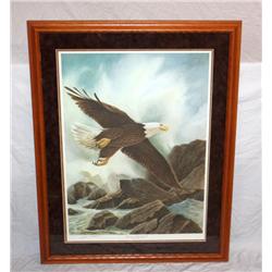 Framed Signed & Numbered Print of Bald Eagle