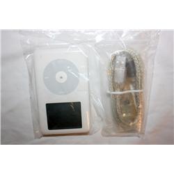 20 GB I Pod & Cord