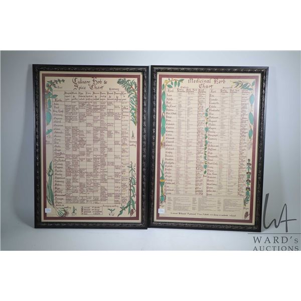 Two vintage framed herb charts including  Medicinal Herbs  and  Culinary Herb and Spice Chart  both 