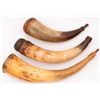 Image 1 : Lot of Three Powder Horns