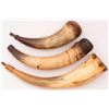 Image 2 : Lot of Three Powder Horns