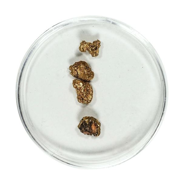 Gold Nuggets 2.36 Grams Total Weight